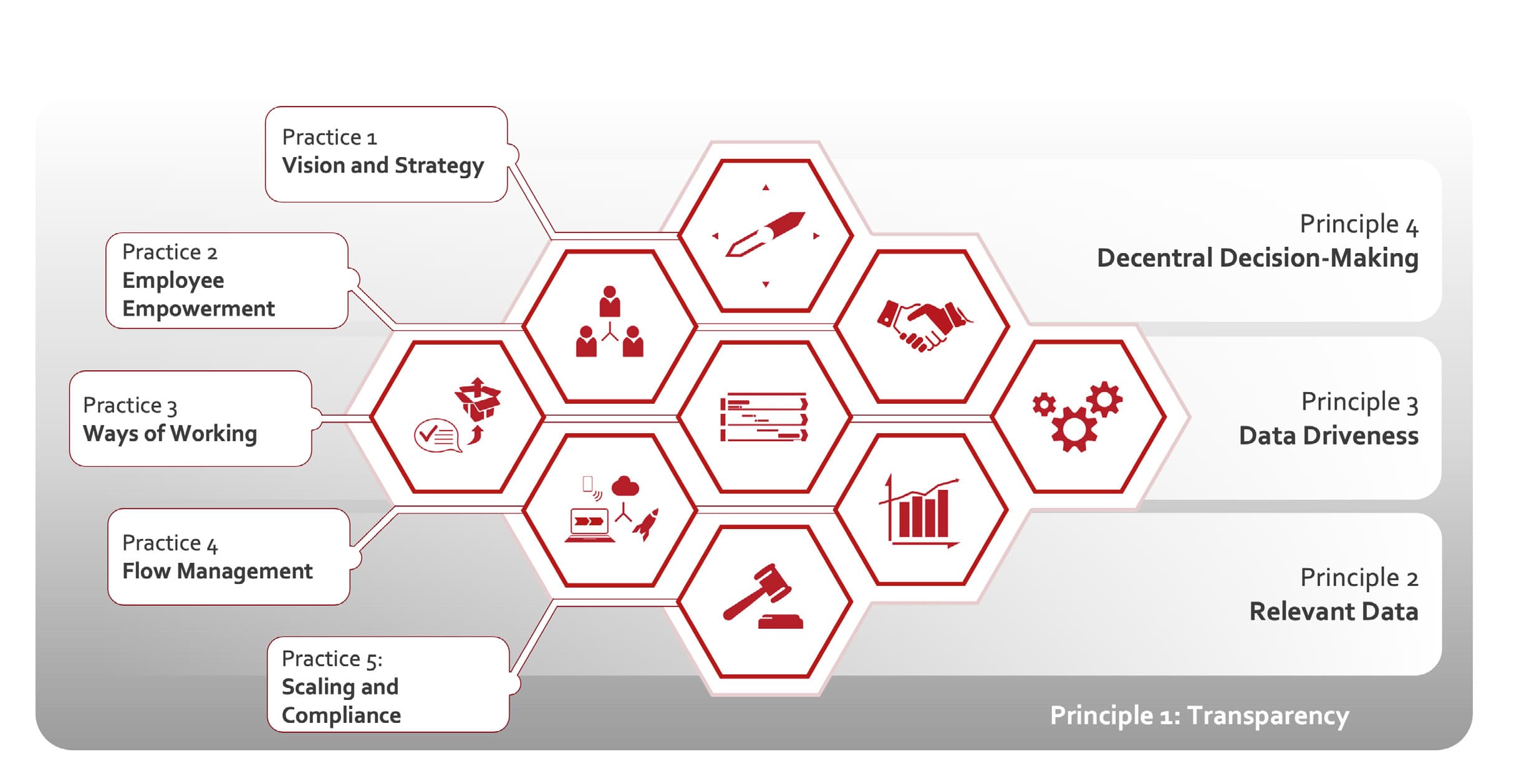 Figure 1: The Bee Approach at a glance — Practice 1 Vision and Strategy, Practice 2 Employee Empowerment, Practice 3 Ways of Working, Practice 4 Flow Management, Practice 5 Scaling and Compliance, arranged around Principle 1 Transparency, Principle 2 Relevant Data, Principle 3 Data Driveness, Principle 4 Decentral Decision-Making