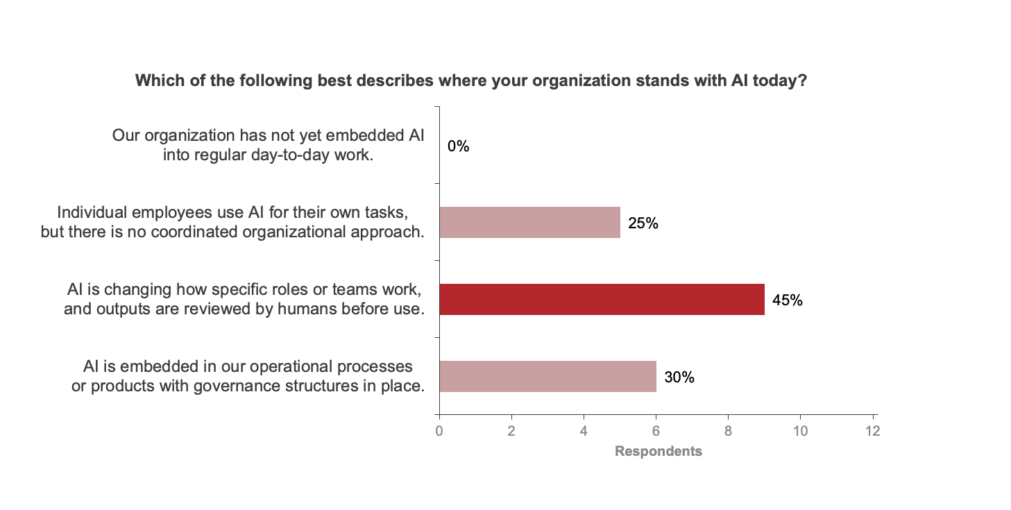 Figure 3: AI Maturity distribution